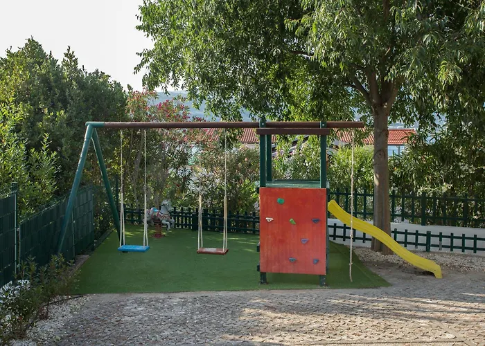 Calluna * 特罗吉尔